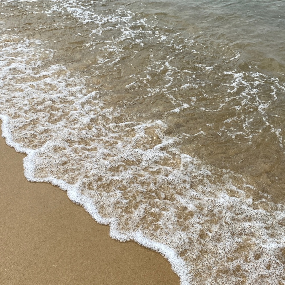 Meet your Posher, Candice